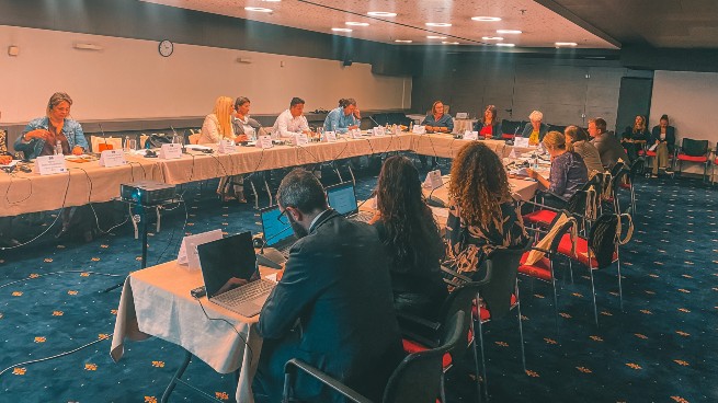 Prvi sastanak Upravnog odbora projekta Jačanje institucionalnih kapaciteta u oblasti slobode izražavanja i informisanja u Bosni i Hercegovini (EFEx)