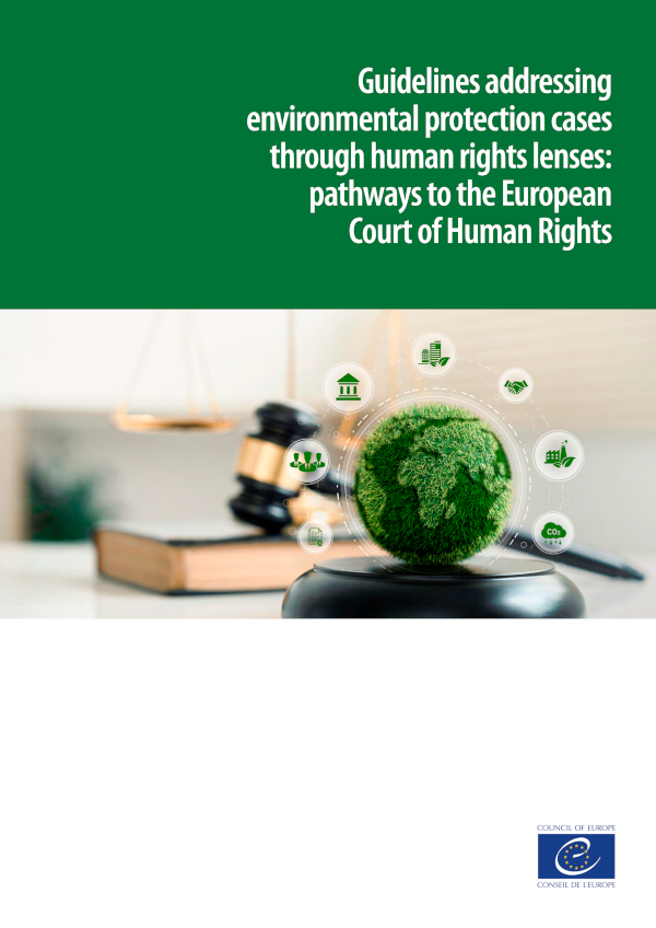 Guidelines addressing environmental protection cases through human rights lenses: pathways to the European Court of Human Rights