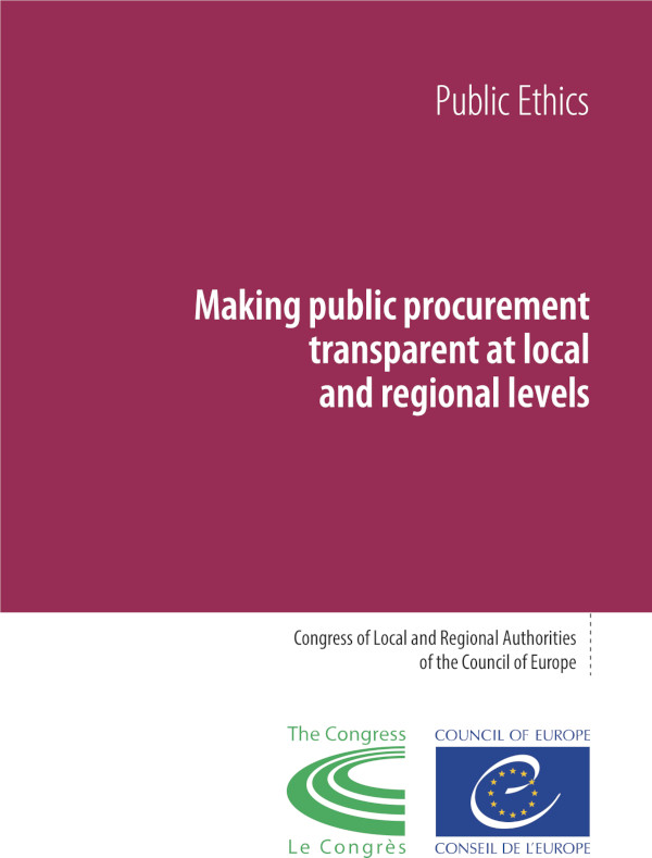 Making public procurement transparent at local and regional levels