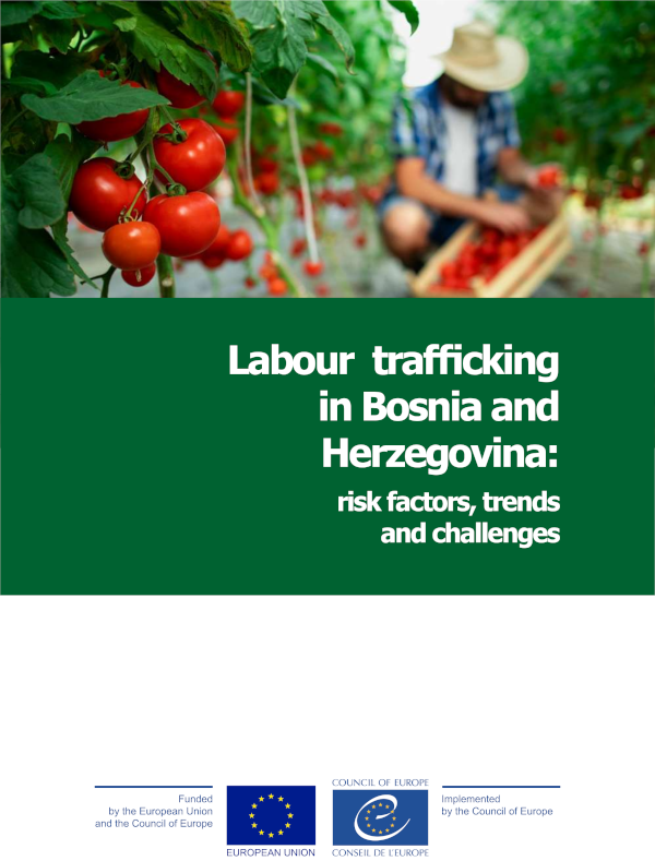 Labour trafficking in Bosnia and Herzegovina: risk factors, trends and challenges