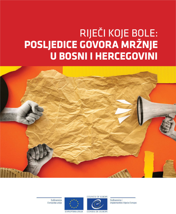From words to wounds: The impacts of hate speech in Bosnia and Herzegovina
