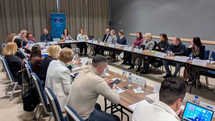 Improving monitoring and reporting mechanisms for enhanced freedom of expression and information in Bosnia and Herzegovina