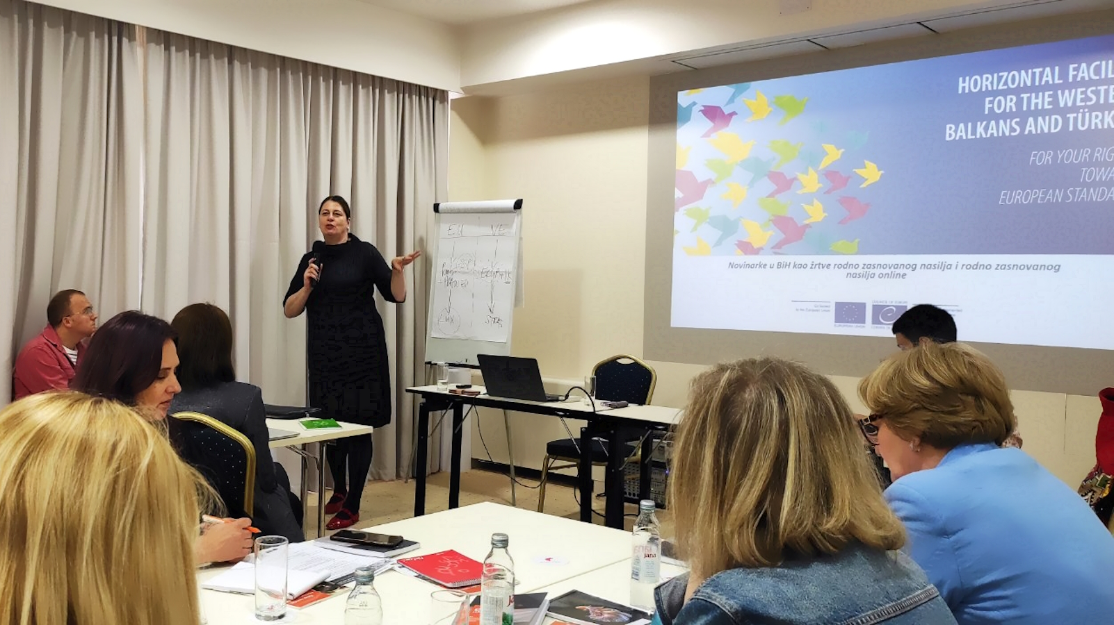 Standing up, speaking out: Journalists from Bosnia and Herzegovina empowered for combating gender-based violence