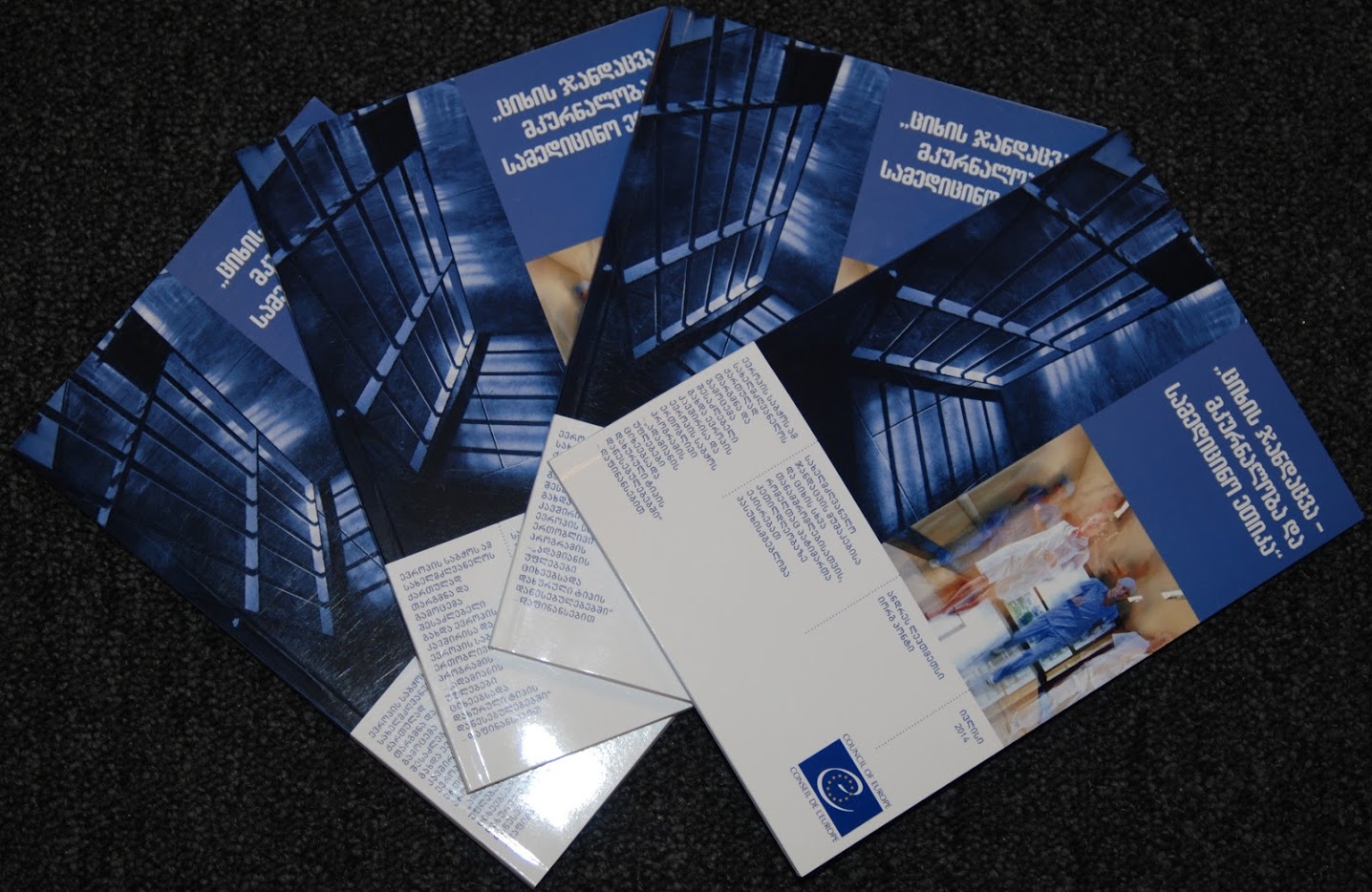 500 copies of a Council of Europe publication, Manual on “Prison Healthcare and Medical Ethics” were translated and published