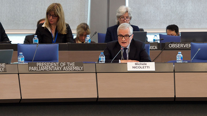 Présentation du rapport sur le Processus de Turin au Comité des Ministres par le Vice-Président de l’Assemblée parlementaire Nicoletti