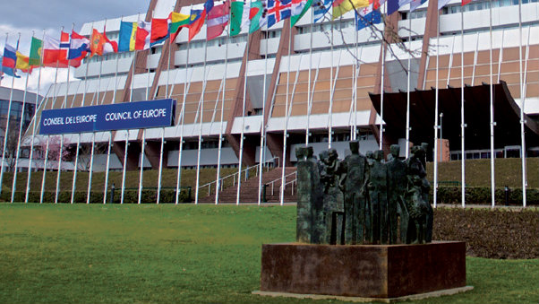CONFERENCE OF INTERNATIONAL NON-GOVERNMENTAL ORGANISATIONS (INGOS)