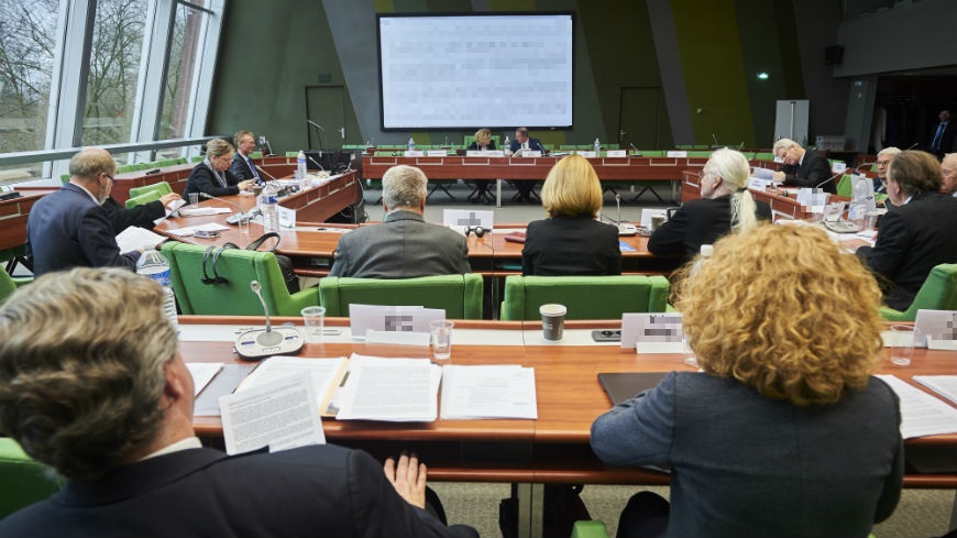 Committee of Experts for the European Charter for Regional or Minority Languages (ECRML)