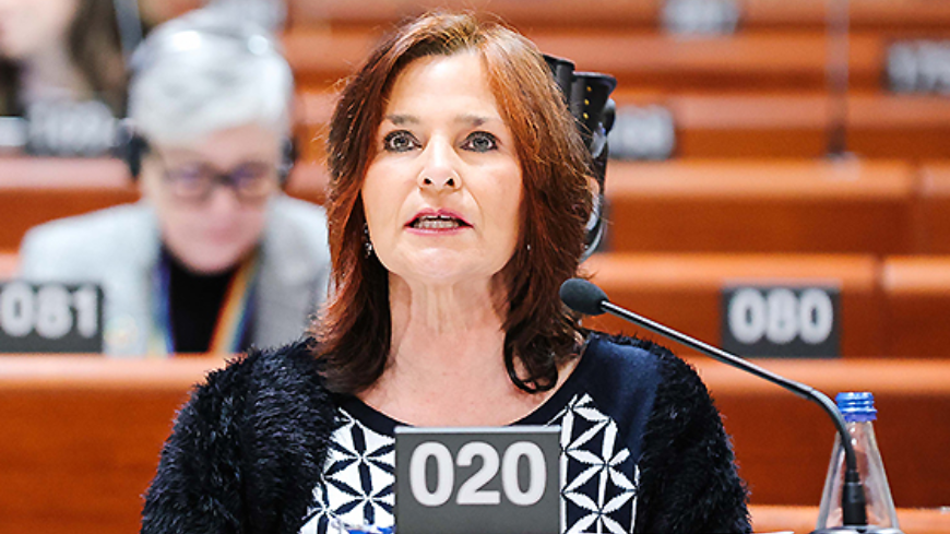 History education should be a key part of human rights education, PACE says