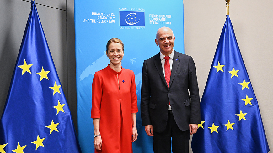 Conférence du Conseil de l'Europe et et des Pays-Bas sur la Commission internationale des réclamations pour l'Ukraine