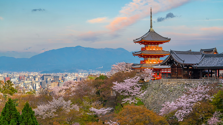 Kyoto: Council of Europe at the Internet Governance Forum