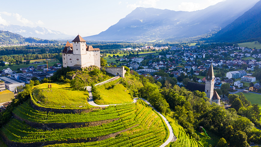 Secretary General on official visit to Liechtenstein