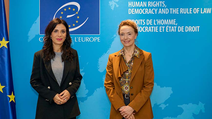 Secretary General meets Minister of Foreign Affairs of Liechtenstein