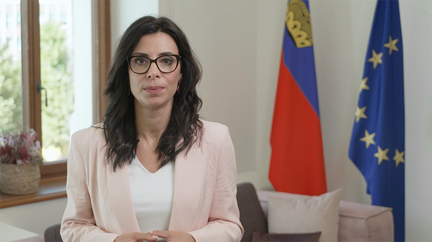 Attack against Slovakia's Prime Minister Robert Fico: Statement by Committee of Ministers' President