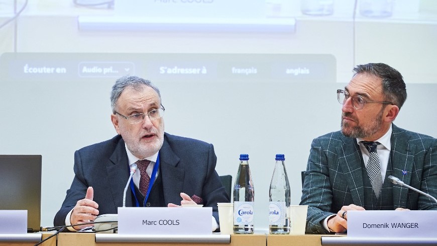 Congress President: Local and regional authorities can usefully contribute to the execution of Court judgments