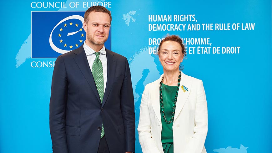 Secretary General meets Minister of Foreign Affairs of Lithuania
