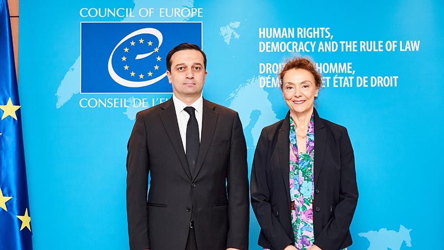 Secretary General meets Public Defender of Georgia