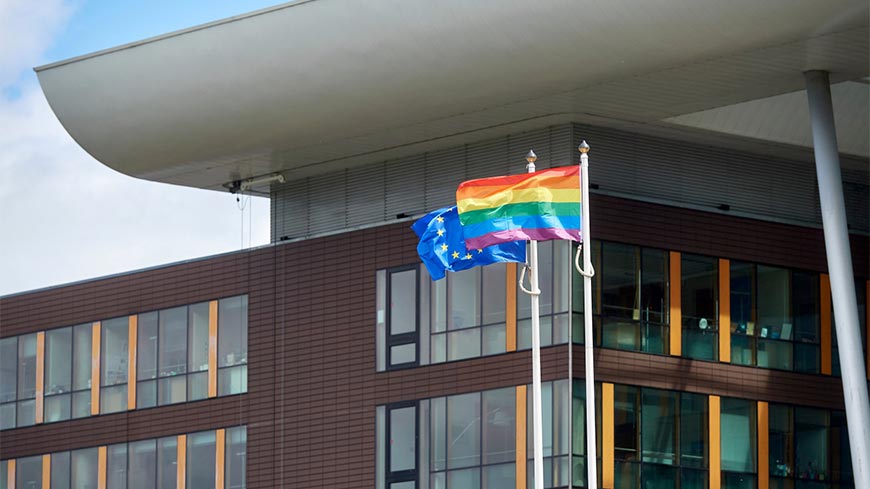 Le Conseil de l'Europe œuvre en faveur d'un changement durable à l'échelle du continent pour lutter contre la discrimination fondée sur l'orientation sexuelle, l'identité de genre, l'expression de genre et les caractéristiques sexuelles