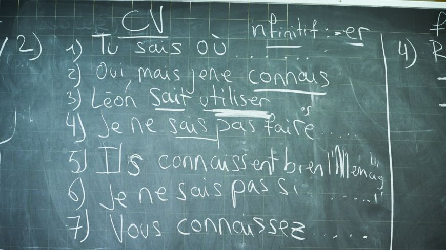 Languages unite! Learning other languages cultivates mutual respect, empathy and cooperation