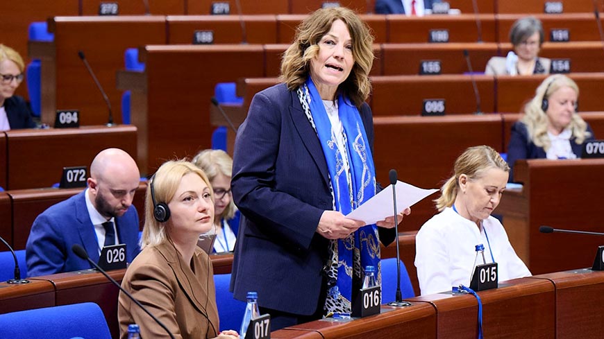 Elisabetta Gardini, a representative from the Veneto, Italy, argued that violence was harming democratic life and pluralism in Europe