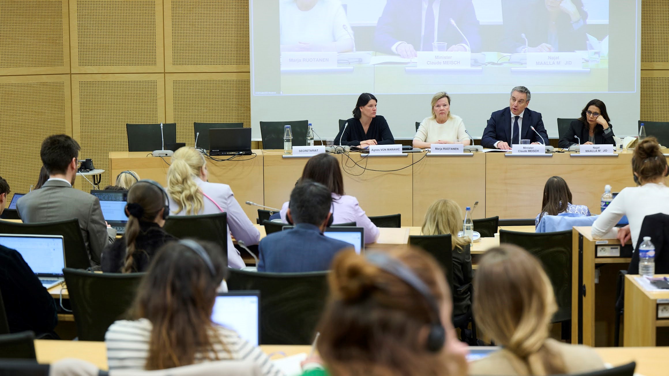Council of Europe Strategy for the Rights of the Child: mid-term review of achievements, challenges and next steps
