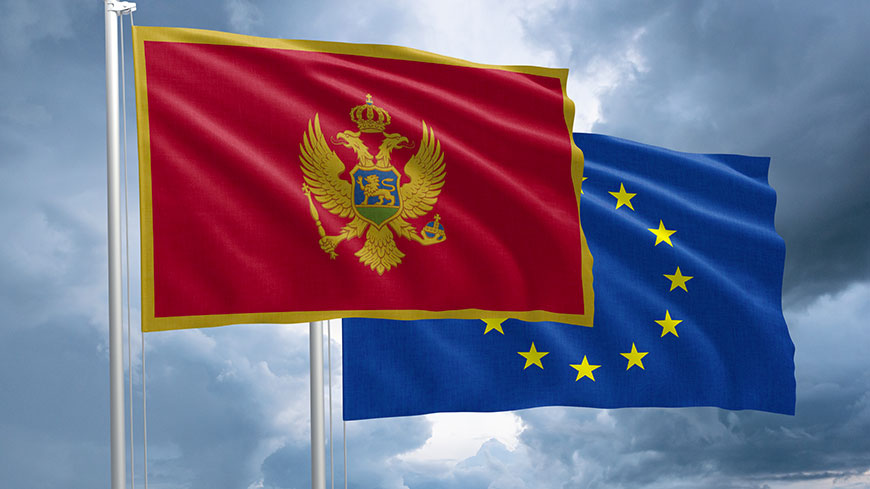 Secretary General Alain Berset in Montenegro: supporting reforms, strengthening democracy