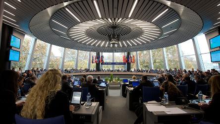 Umsetzung der Urteile des Europäischen Gerichtshofs für Menschenrechte
