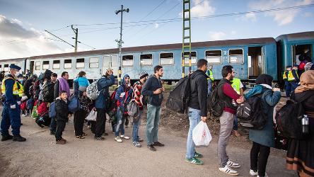 Migration und Flüchtlinge: Generalsekretär ernennt Sonderbeauftragten
