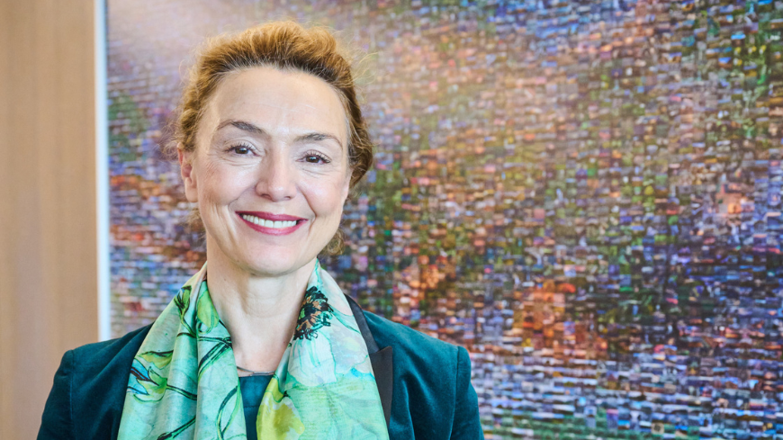 Rahmenübereinkommen über künstliche Intelligenz, Menschenrechte, Demokratie und Rechtsstaatlichkeit