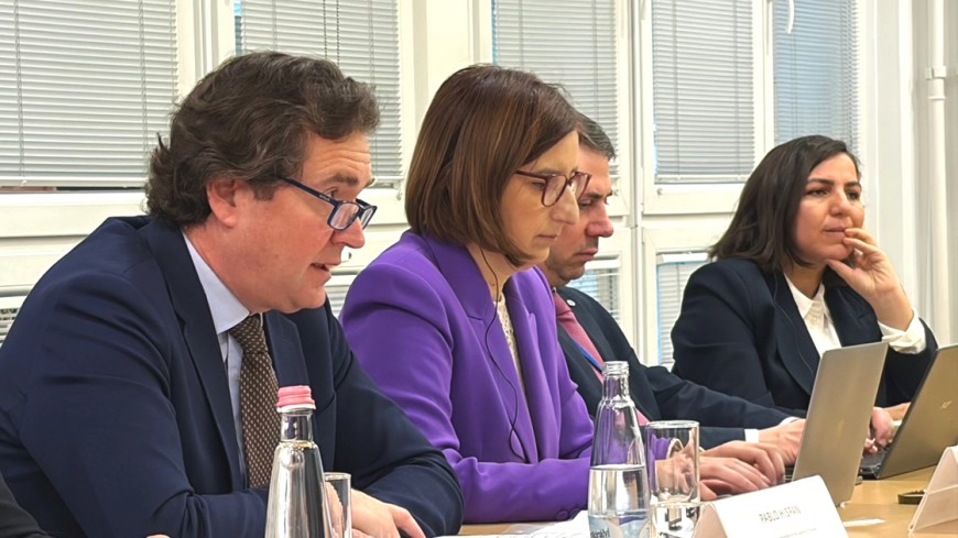 Hungary’s elections must not be shaped by fear, abuse of state resources or foreign manipulation, says PACE pre-electoral delegation