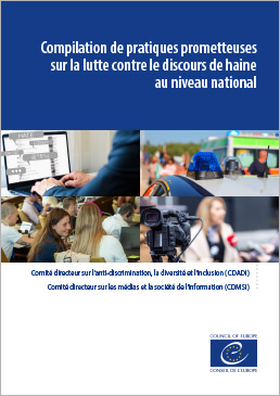 Compilation de pratiques prometteuses sur la lutte contre le discours de haine au niveau national (2024)