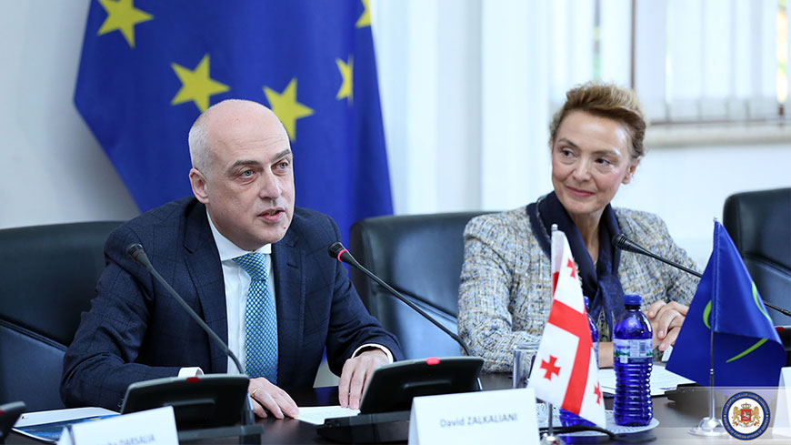 Давид Залкалиани, Министр иностранных дел Грузии, и Мария Пейчинович Бурич, Генеральный секретарь