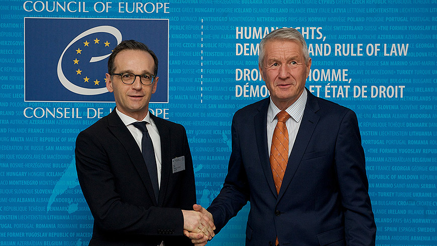 Combating hate speech online: Council of Europe and Germany to co ...
