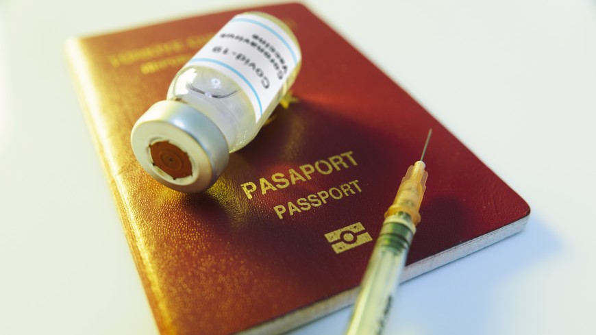 Vaccine passes: protecting human rights and personal data