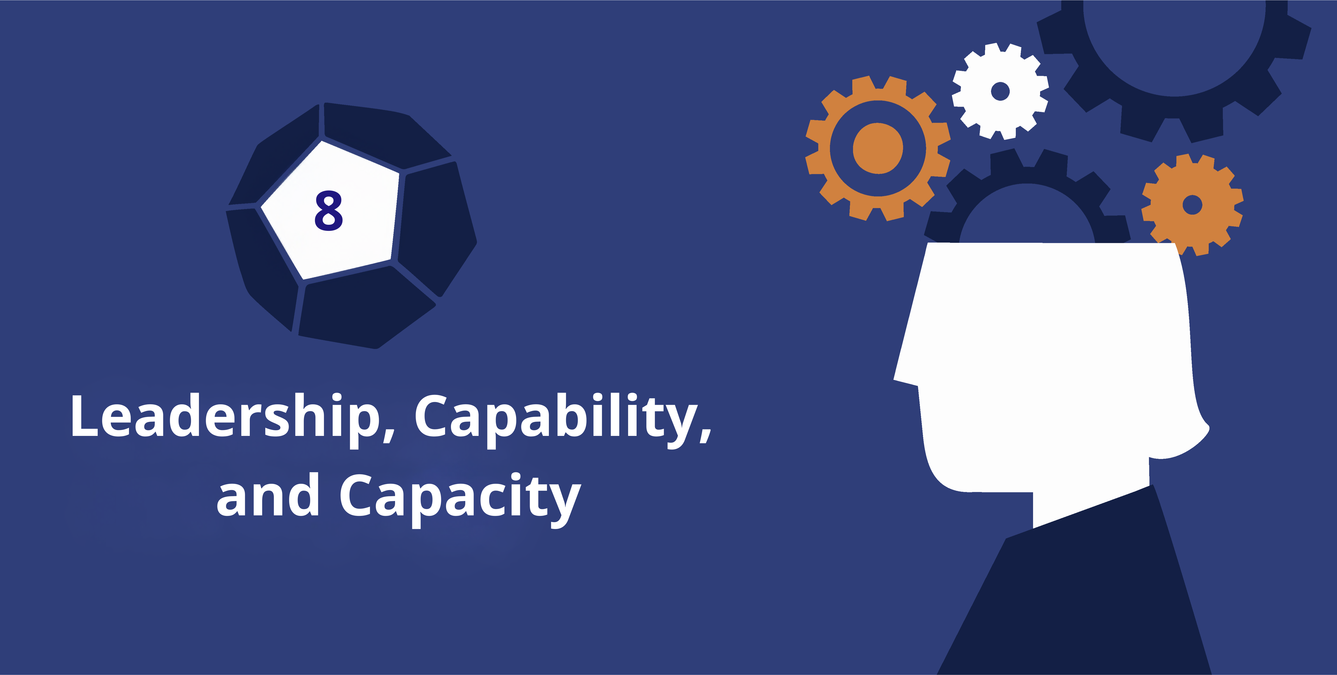 Principle 8: Leadership, Capability, and Capacity