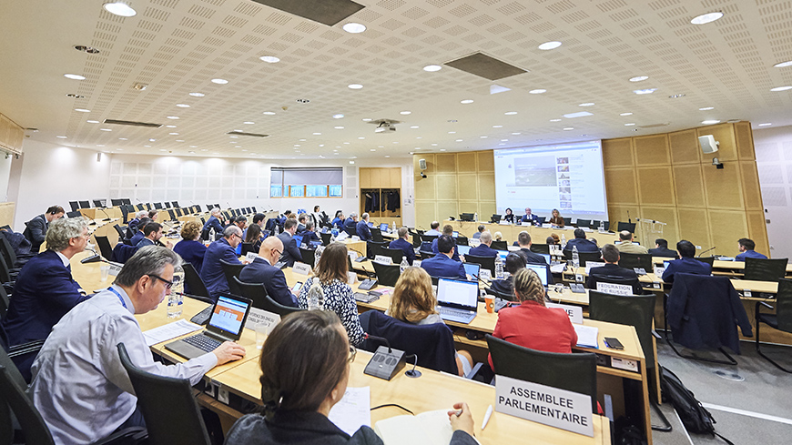 Accountability, Use of ICT in Elections and Governance Reforms: 14th CDDG Plenary Highlights