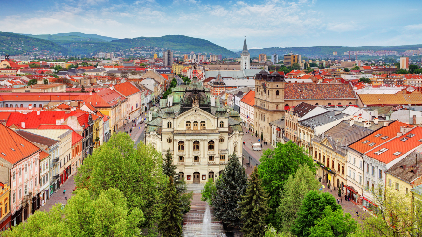 Status of the Capital City of Bratislava and the City of Košice: preparation of a Policy Advice