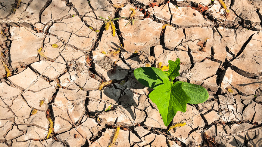Resilience Building Strategies: Training for Cyprus
