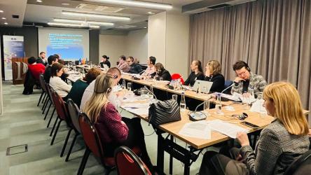 North Macedonia’s External Oversight Mechanism stakeholders raise their capacities on effective investigations