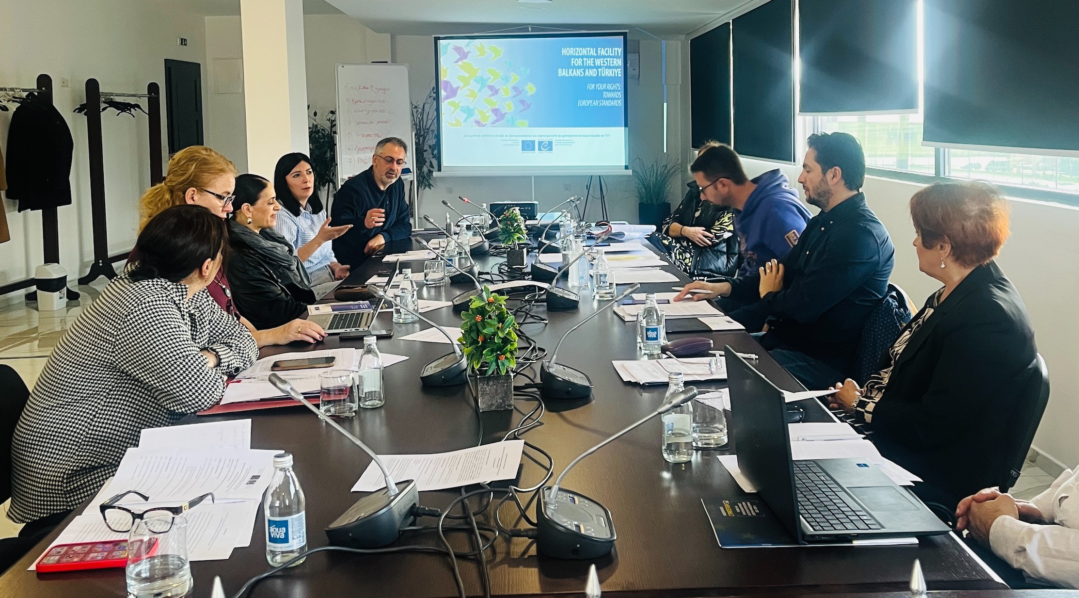Improving co-ordination of public actors in North Macedonia for a more efficient provision of healthcare in prisons