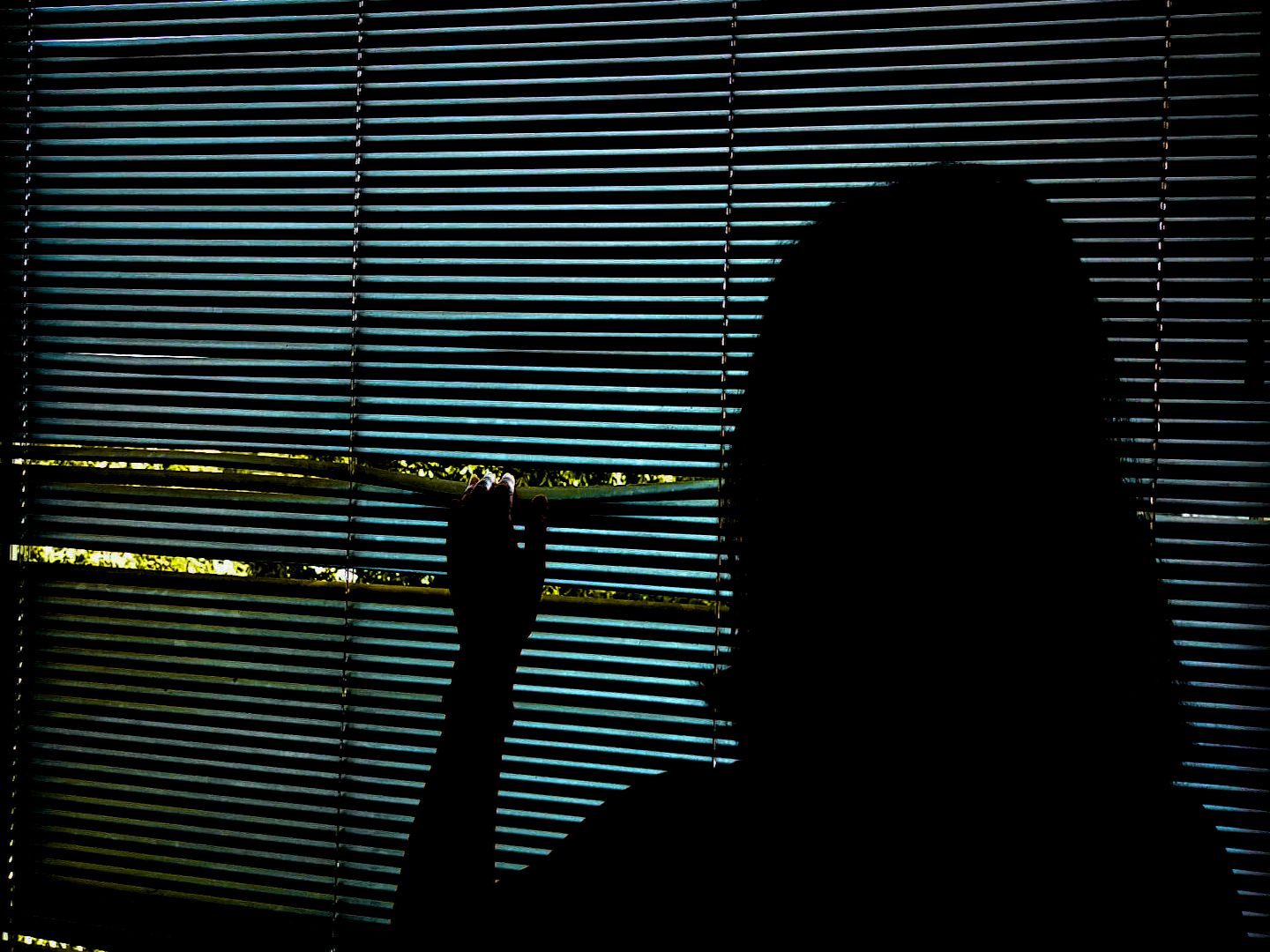 FORCED CHILD MARRIAGES: CRIME AND PUNISHMENT