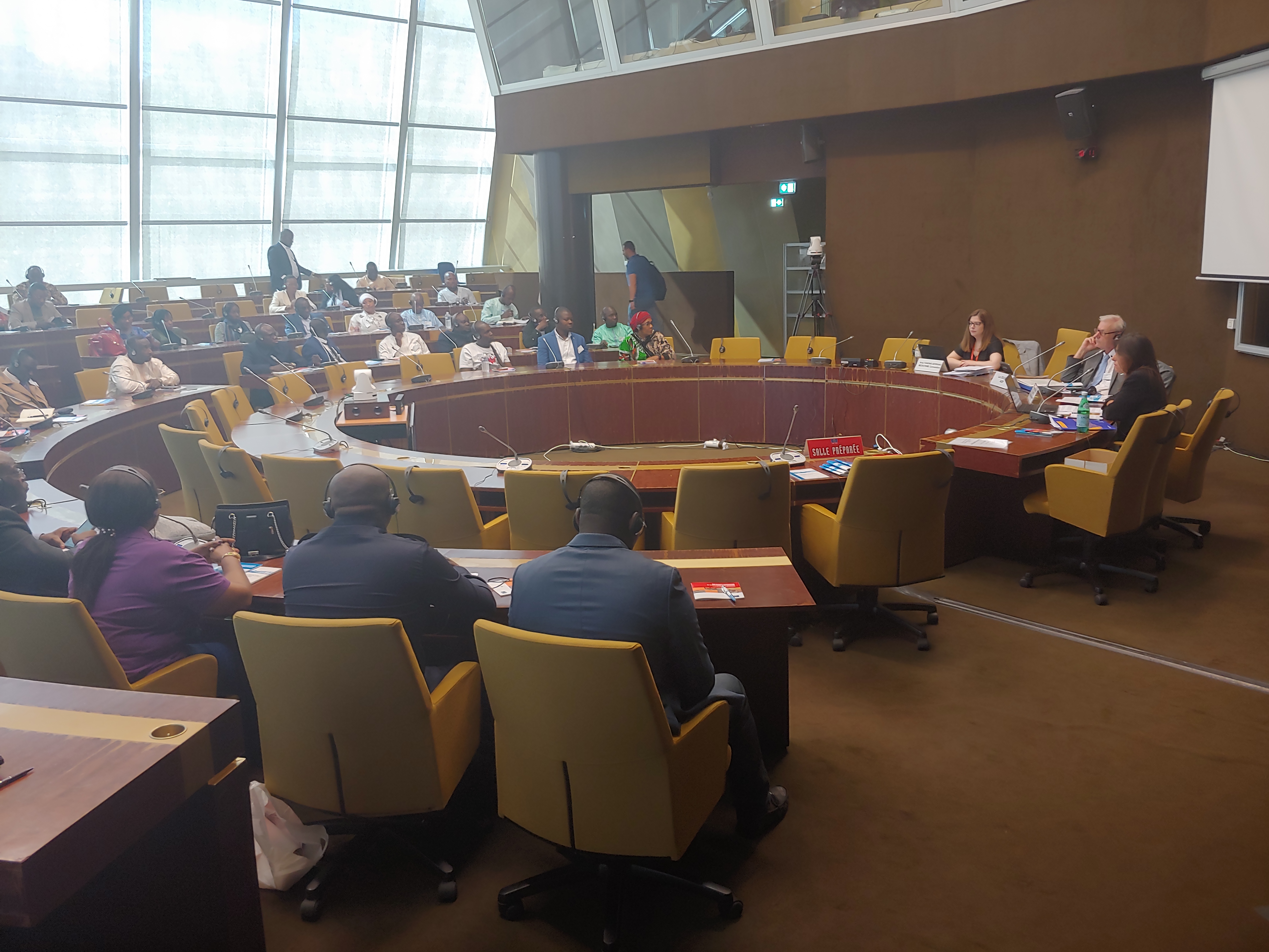 Sensibilisation des autorités douanières à la Convention MEDICRIME