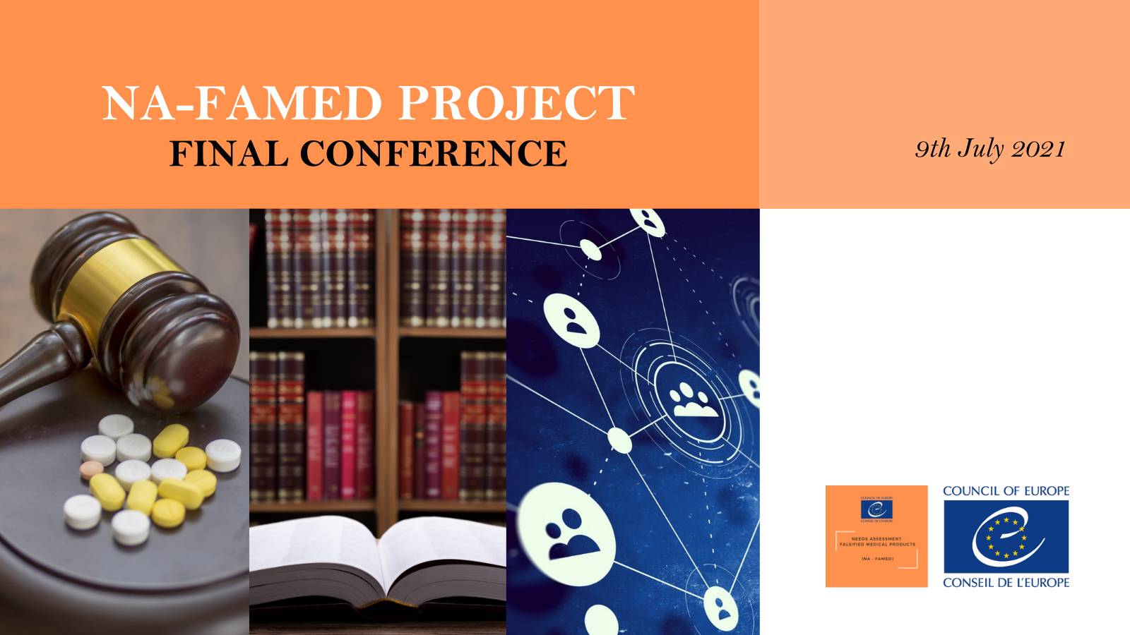 Final Conference of the NA-FAMED project