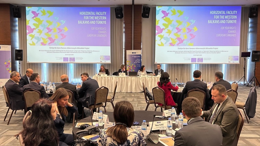 Strengthening Risk-Based Audits and Sanctioning in the Non-Profit Organisation Sector