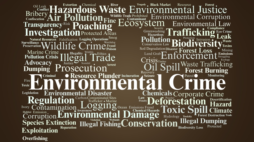 Strengthening the understanding of environmental crime risks among financial institutions and non-financial businesses and professions in the Western Balkans