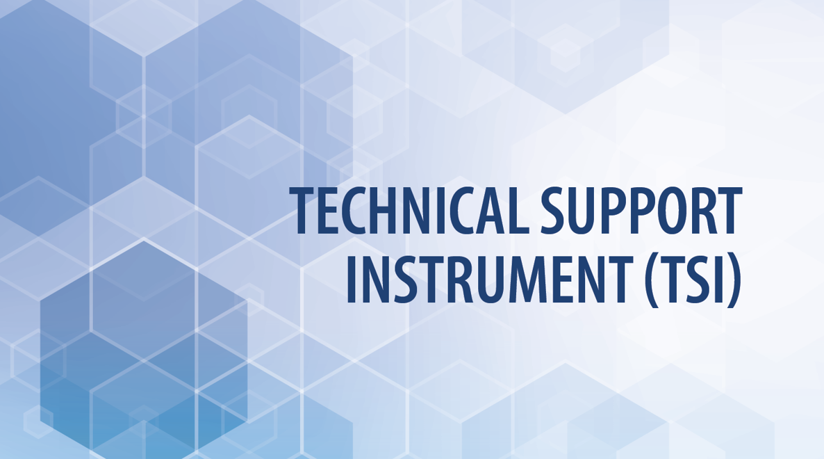 Enhancing AML/CFT and economic crime response in EU member states through Technical Support Instrument initiatives