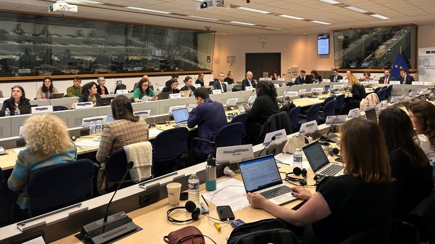Practical Application of EU Sanctions – State of Play and Way Forward