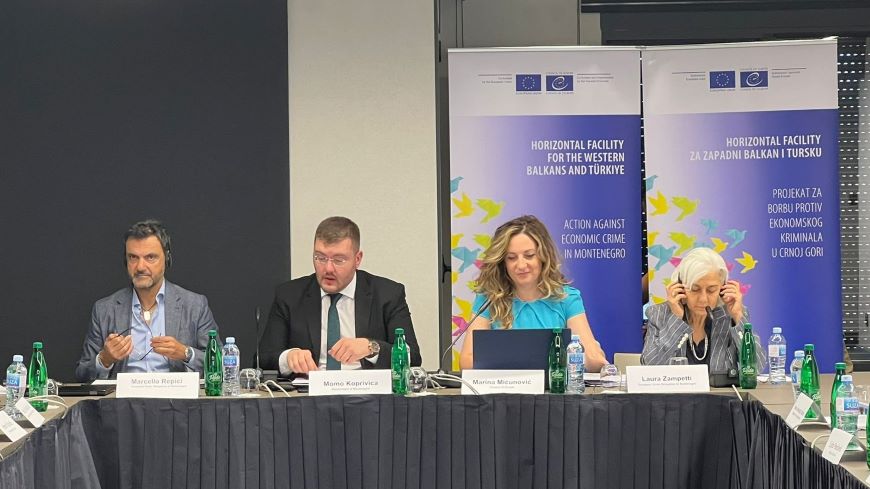 Third Steering Committee meeting of the Action against Economic Crime in Montenegro