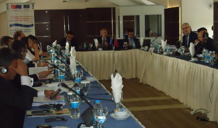 Workshop to Review the Draft Investigation Guide by National and International Experts