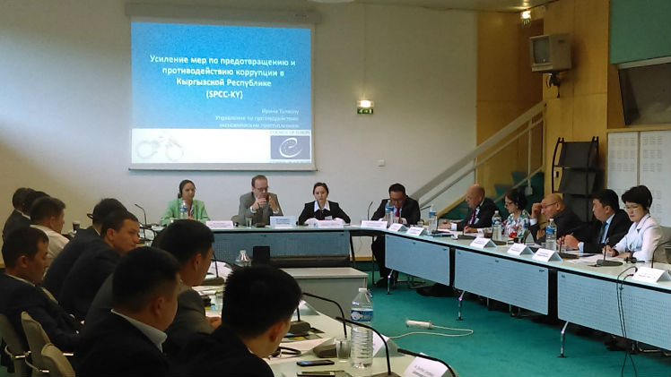 © Council of Europe