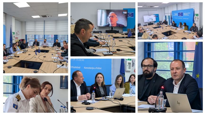Support to strengthening institutional responses to corruption risks in executive institutions and socially owned enterprises